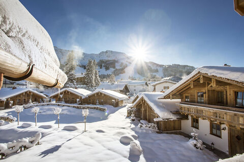 Alpin Chalets