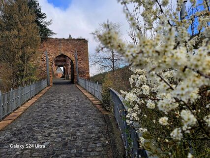Foto de Edit Szoboszlay a lo largo del recorrido