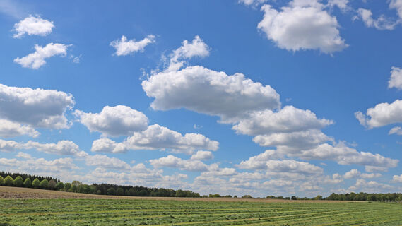 Blick auf die weite Landschaft zwischen Seedorf und Eitzmühlen