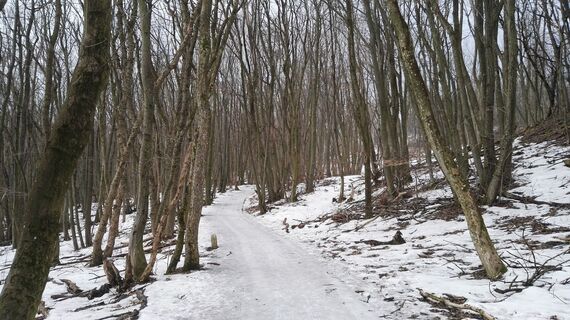 Aufstiegsweg