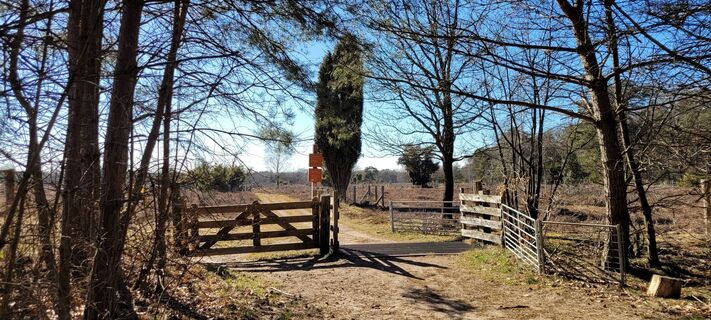 Foto da Hans Wierenga lungo il tour