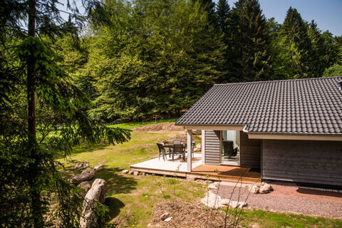 Ferienhaus Lichtung