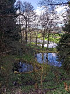 Fotografija s spletne strani Peter Bauridl na poti