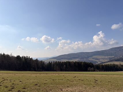 Foto von Christian Schellnegger entlang der Tour