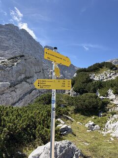 Photo de Tamás Ónodi le long du parcours