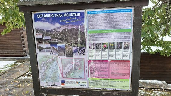 Fotografia z Sase Dinev na trase