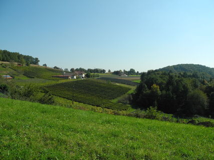 Krenn 49