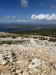 Photo de Daniel Vogel le long du parcours