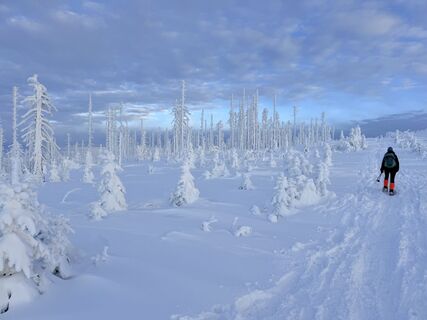 Foto von Natur_erleben_dg entlang der Tour
