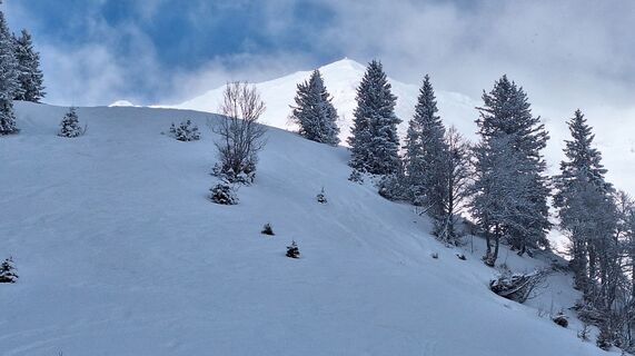 Fotografia z Regina Fleischmann na trase