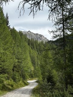 Fotografie z Markus Vogl na trase