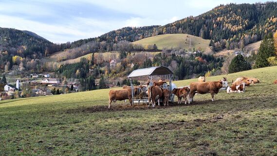 Fotografia z Aga M na trase