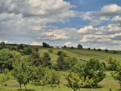 Foto de josef duermoser a lo largo del recorrido