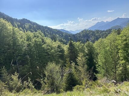 Foto från Reinhard Peter under resans gång