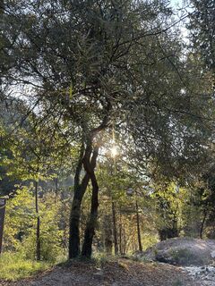 Foto von Agnese Martinelli entlang der Tour