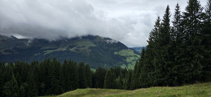 Fotografia z Hannes Hager na trase