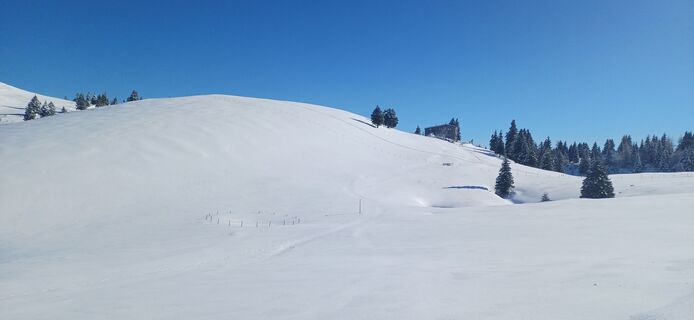 Foto von Janez Perko entlang der Tour