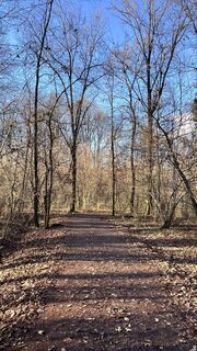 Photo de Dazza le long du parcours