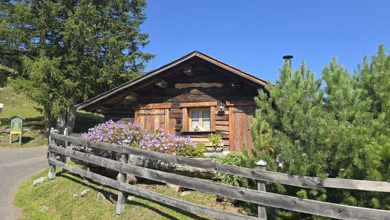 Foto van Bike Rider langs de tour