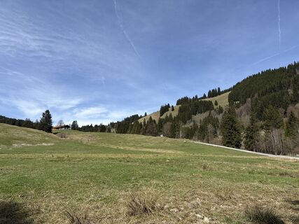 Foto von Similaun entlang der Tour