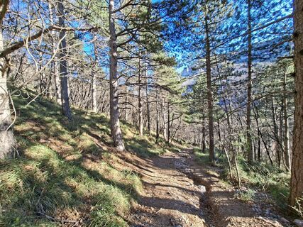 Foto von Bob Moh entlang der Tour