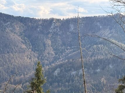 Zdjęcie z Jürgen wzdłuż trasy