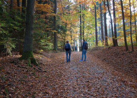 Weitra Wandern