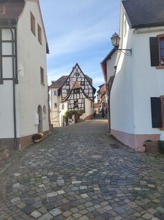 Foto von Peter Mißbach entlang der Tour
