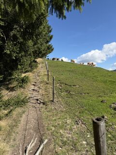 Foto von Stefan Hellmann entlang der Tour