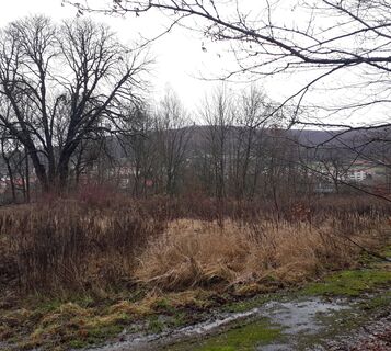 Blick von der ehemaligen Wilhelmsburg zum Adelsberg