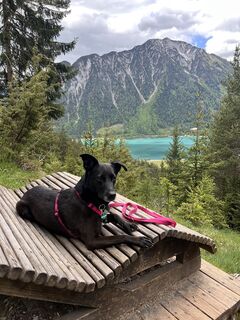 Foto von Sweet I‘m entlang der Tour