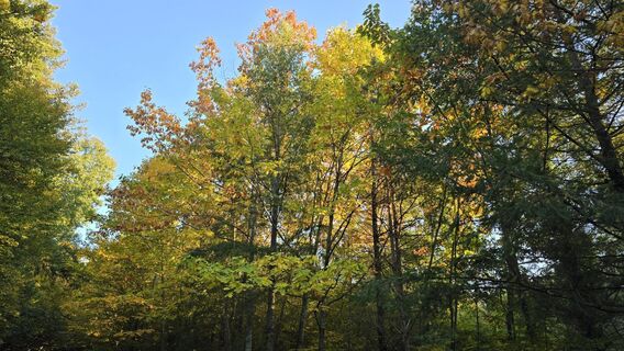 Foto von Katja Senkel entlang der Tour