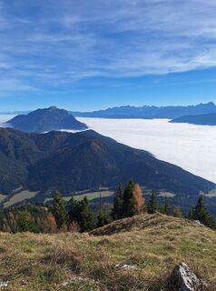 Fotografija s spletne strani Dagmar Hofer na poti