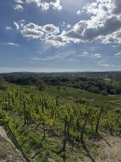 Foto von Markus Hohenwarter entlang der Tour