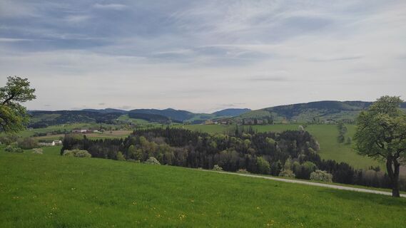 Foto de WilliSt a lo largo del recorrido