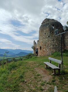 Foto de Sonja Pils a lo largo del recorrido