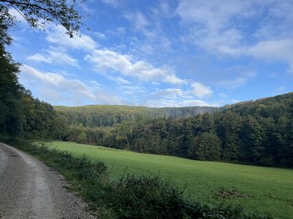 Photo de Roman Embacher le long du parcours