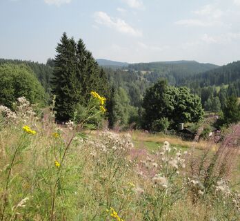 Johanngeorgenstadt - Blick ins Böhmische