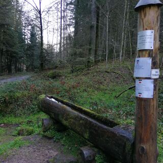 Brunnen zur Erfrischung