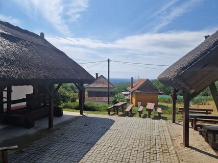 Fotografia z Szomi Balázs na trase