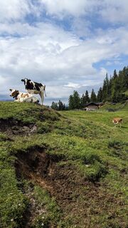 Foto von Martin Glaser entlang der Tour
