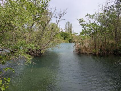 Foto von Der_Brasilianer entlang der Tour