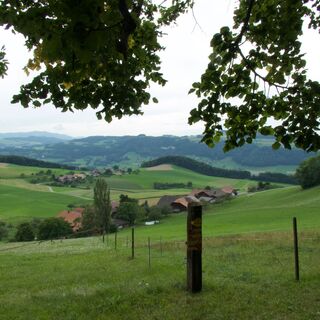 Weg nach Chutze - Alpenpanoramaweg Etappe 17.