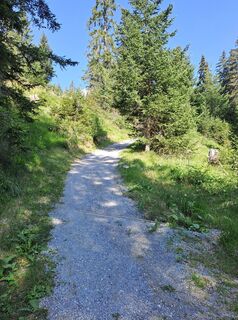 Foto von Wanderbursche66 entlang der Tour