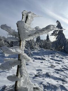 Photo de Andreas Hoffmann le long du parcours