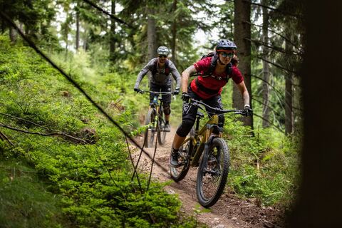 Singletrail by Wexl Trails #7