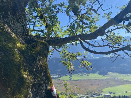 Photo de Henriette Zeltner le long du parcours