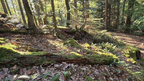 Foto von Katja Senkel entlang der Tour