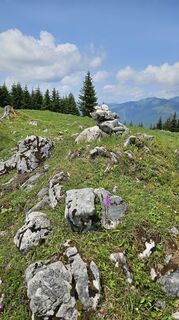 Photo de Christian Thomas le long du parcours
