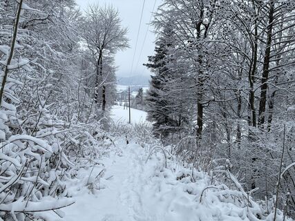 Zdjęcie z RH wzdłuż trasy